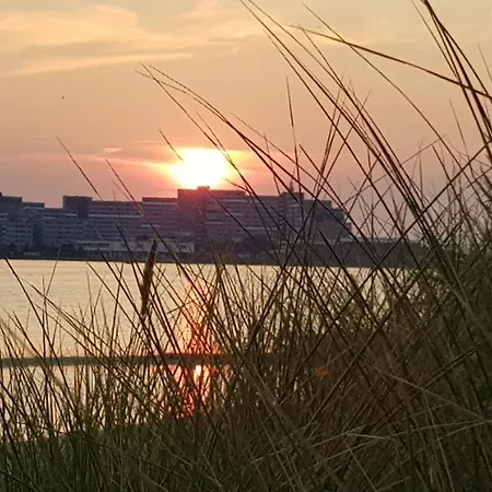 Lägenhet Austernfischer-h6 *