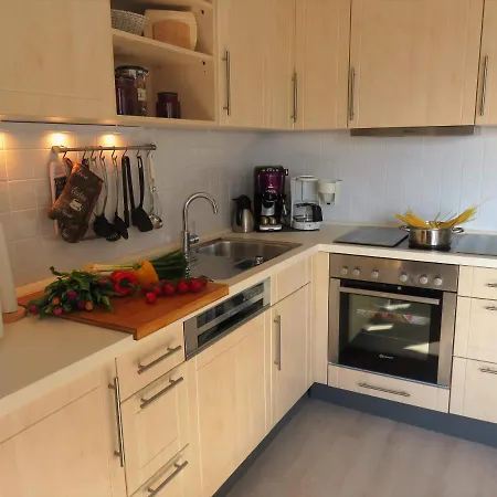 Austernfischer-h6 Heiligenhafen