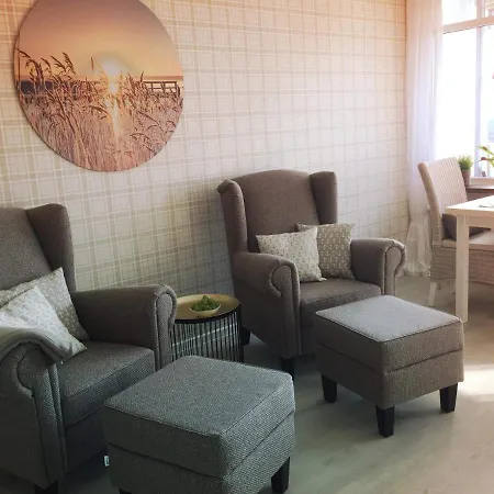 Austernfischer-h6 Heiligenhafen